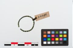 Foto von Bronzering (NHMW-PRAE-024297)